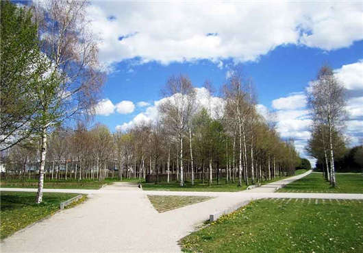 德國市場高技術(shù)人才緊缺,政策隨之發(fā)生變化 德國市場高技術(shù)人才緊缺,政策隨之發(fā)生變化