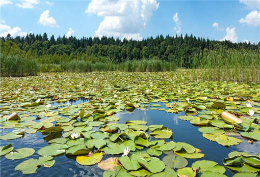 歐洲難民為何會如此青睞德國哪?原因在這(上) 歐洲難民為何會如此青睞德國哪?原因在這(上)
