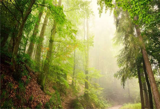 歐洲難民為何會如此青睞德國哪？原因在這（下）