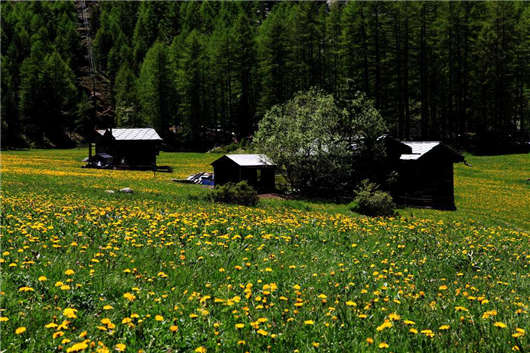 科隆前校長發表講話(上) 科隆前校長發表講話(上)