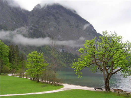 德國環境部40年創新理念,帶來更多環境保護 德國環境部40年創新理念,帶來更多環境保護