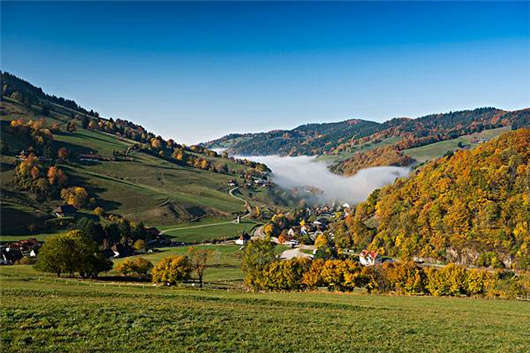 德國綠色經(jīng)濟 德國綠色經(jīng)濟