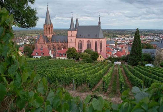 慕尼黑大學(xué)申請(qǐng)留學(xué)條件是什么？