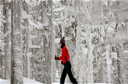 留學德國畢業難,解決這些您就可以成功! 留學德國畢業難,解決這些您就可以成功!