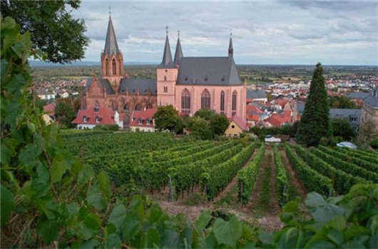 入籍優(yōu)劣對比，您一定要了解一下！