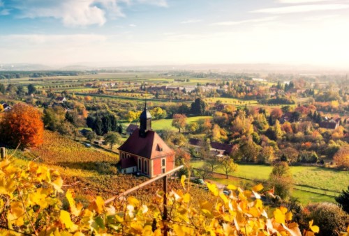 移民有哪些優勢？如何移民？