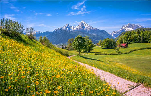 2020年3月1日新德國移民政策開始實(shí)行，什么專業(yè)最受歡迎那？