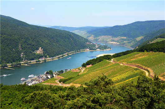 1591787539107304.jpg 7.jpg