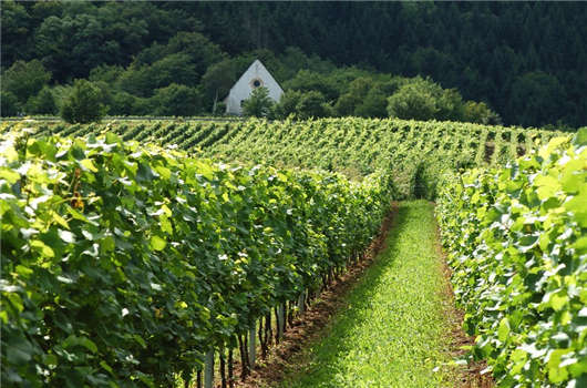 1595816552640398.jpg 65.jpg