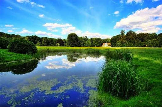 1597989156985255.jpg 21.jpg