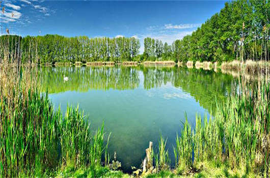 辦理<a style='color:#268bd1;cursor:pointer;' href='/'>移民德國(guó)</a>,德國(guó)歐盟藍(lán)卡移民計(jì)劃解讀 辦理移民德國(guó),德國(guó)歐盟藍(lán)卡移民計(jì)劃解讀