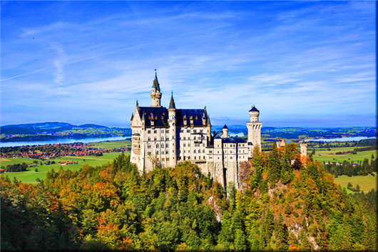 1639385298134977.jpg 1.jpg