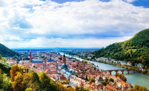 1667379774843767.jpg 1.jpg