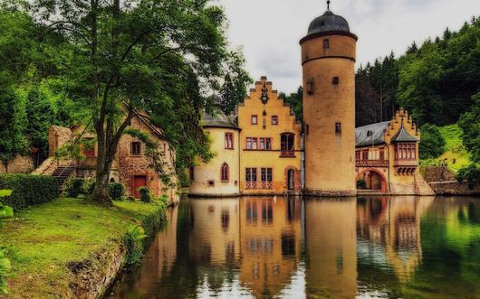 1736325248125321.jpg R-Cd (1).jpg